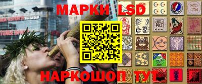 PSILOCYBIN Партизанск