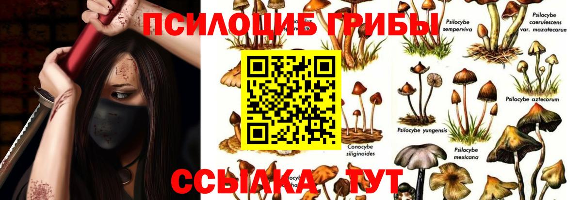 Псилоцибиновые грибы GOLDEN TEACHER  Вход с VPN  цены наркотик  Спасск-Дальний  Галлюциногенные грибы ЛСД 