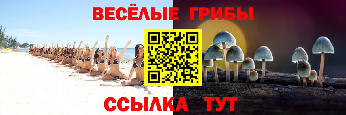 Галлюциногенные грибы Psilocybine cubensis Спасск-Дальний